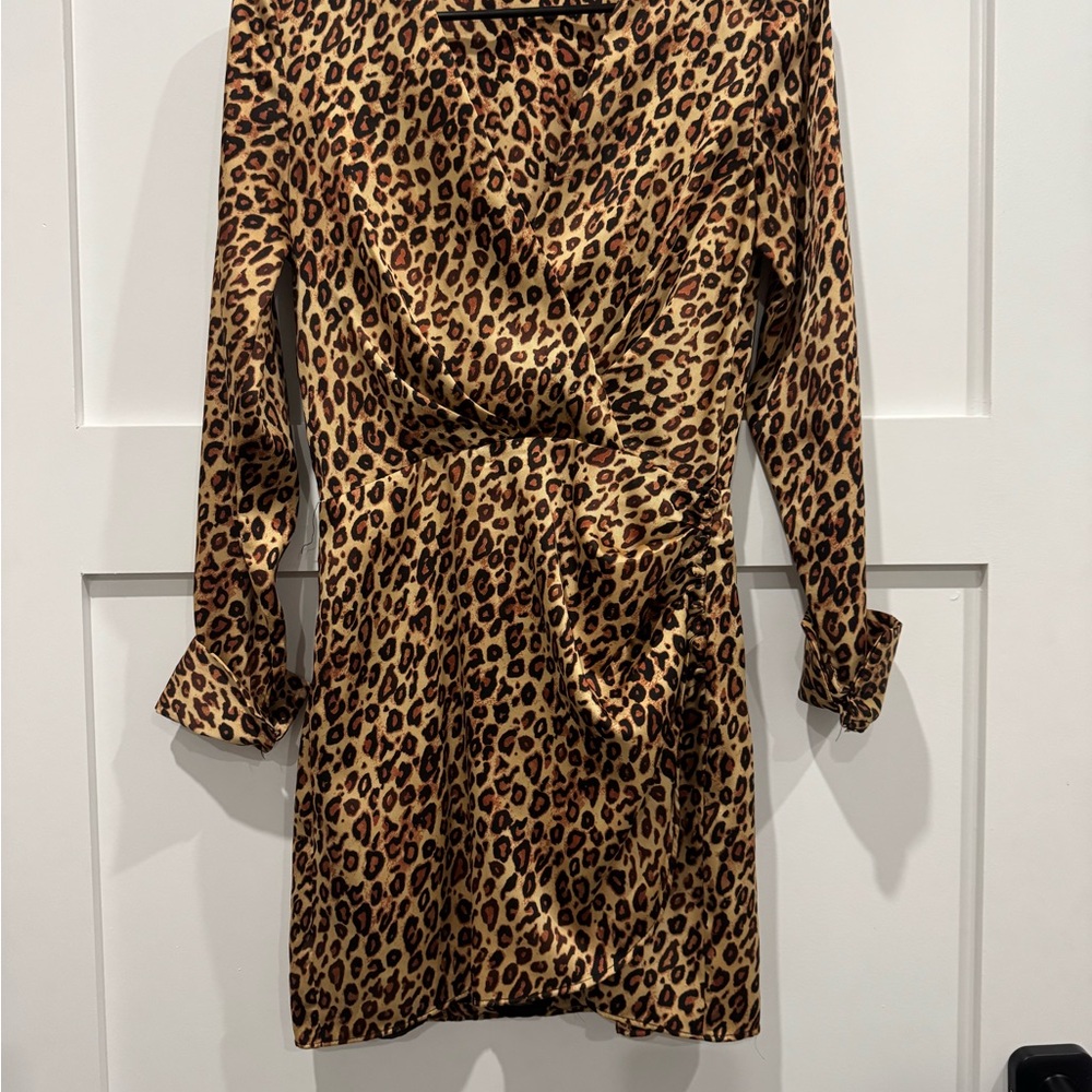 Zara Leopard Print Long Sleeve Dress